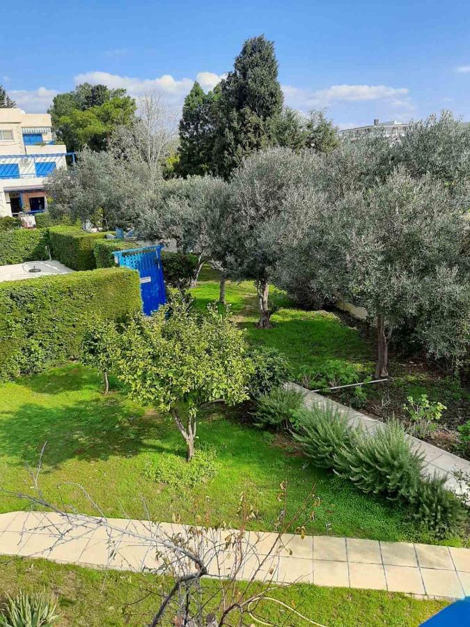 2 Bedroom Apartment-Mediterranean Type Paphos Exteriör bild
