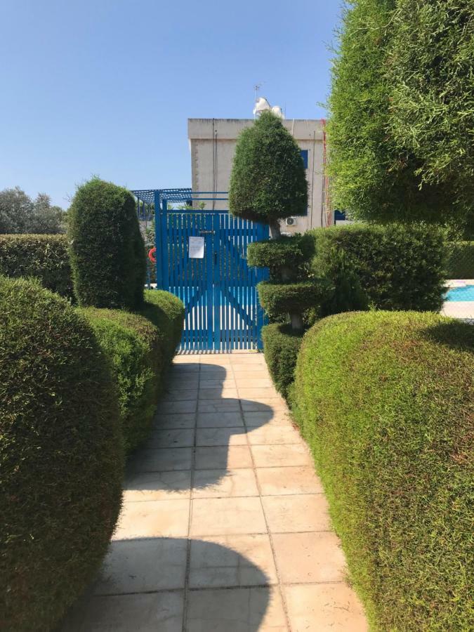 2 Bedroom Apartment-Mediterranean Type Paphos Exteriör bild