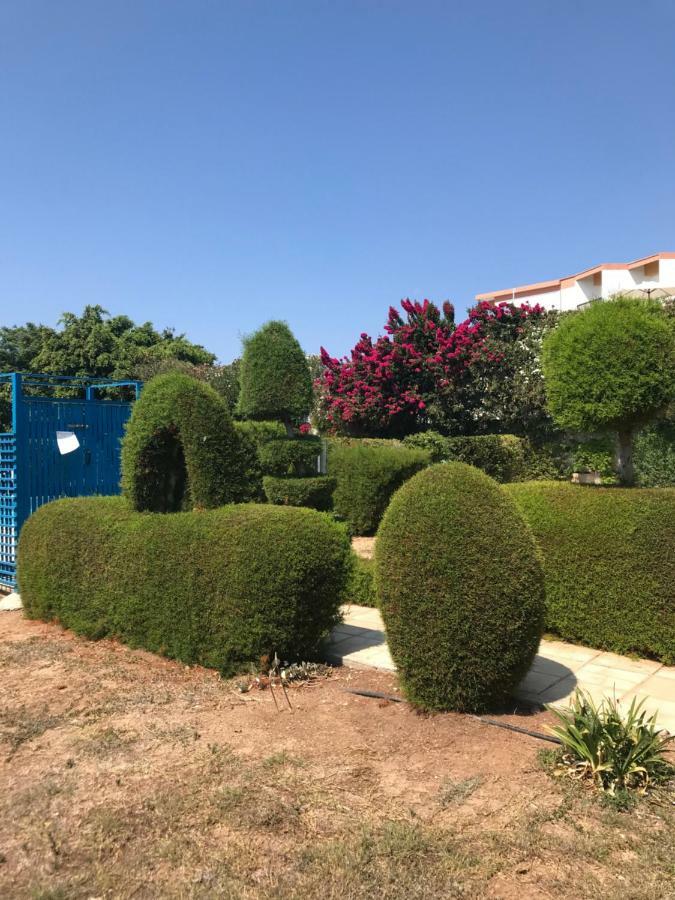 2 Bedroom Apartment-Mediterranean Type Paphos Exteriör bild